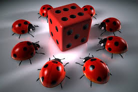 Онлайн казино Casino Calibry